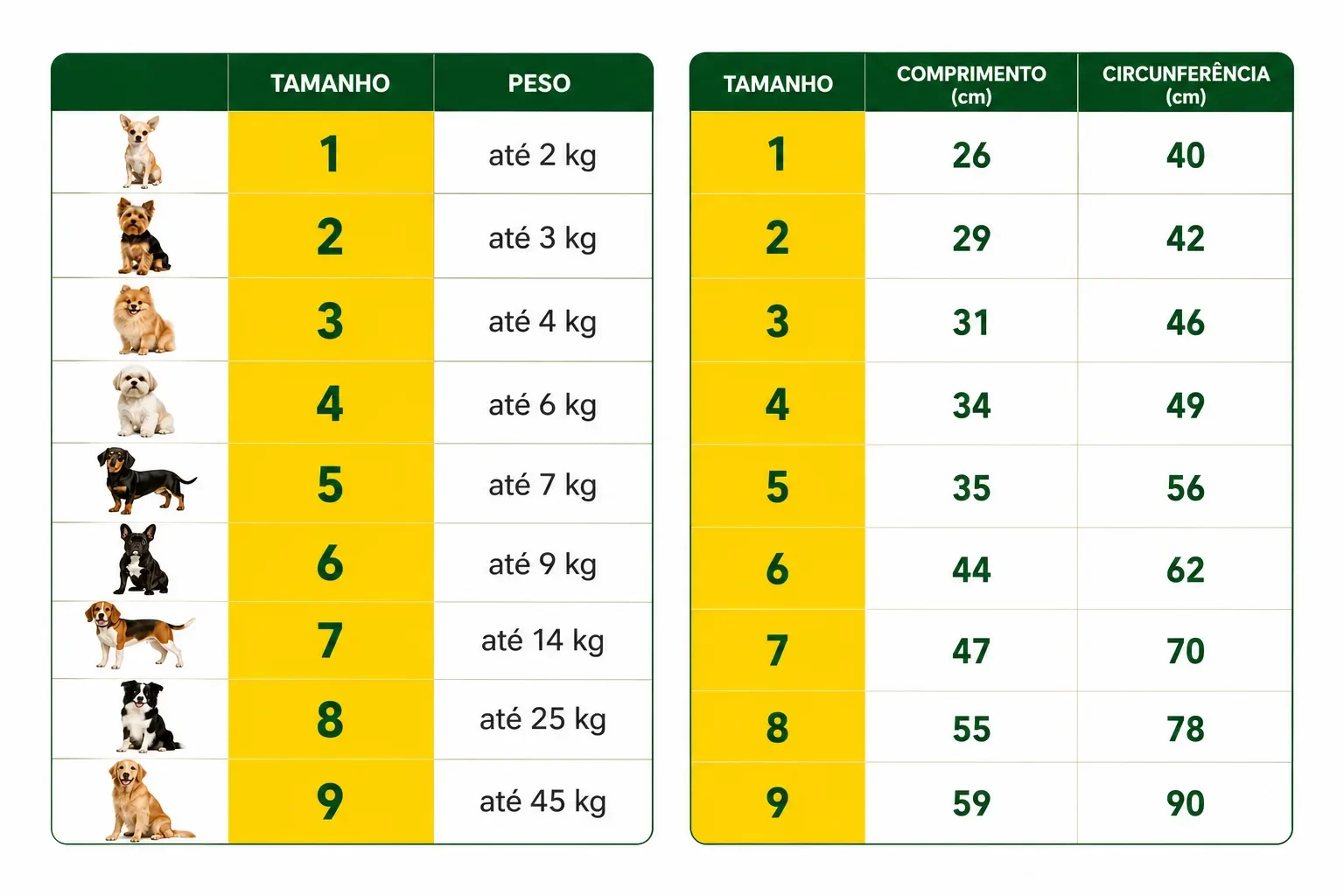 Tabela de medidas Caomisa